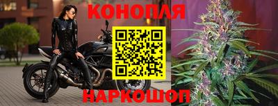 гидропоника Славянск-на-Кубани