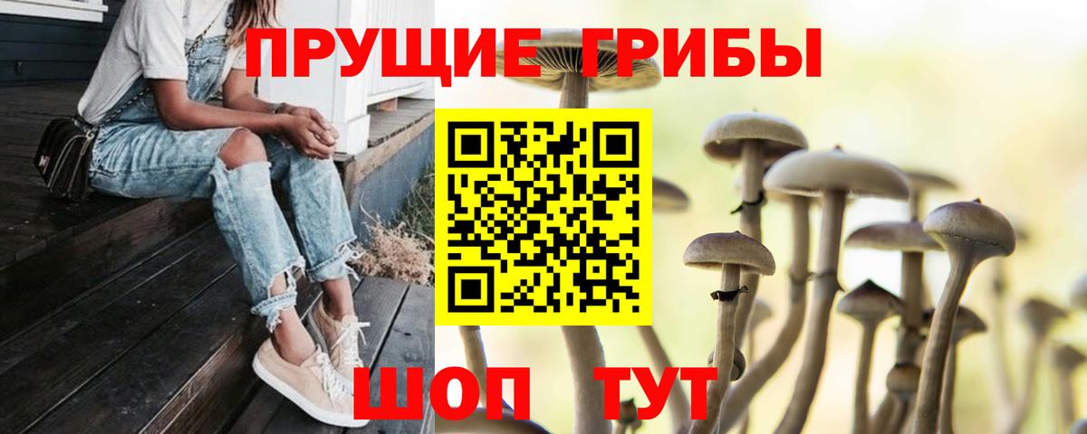 Славгород  Галлюциногенные грибы прущие грибы  Псилоцибиновые грибы Magic Shrooms  Вход с VPN 